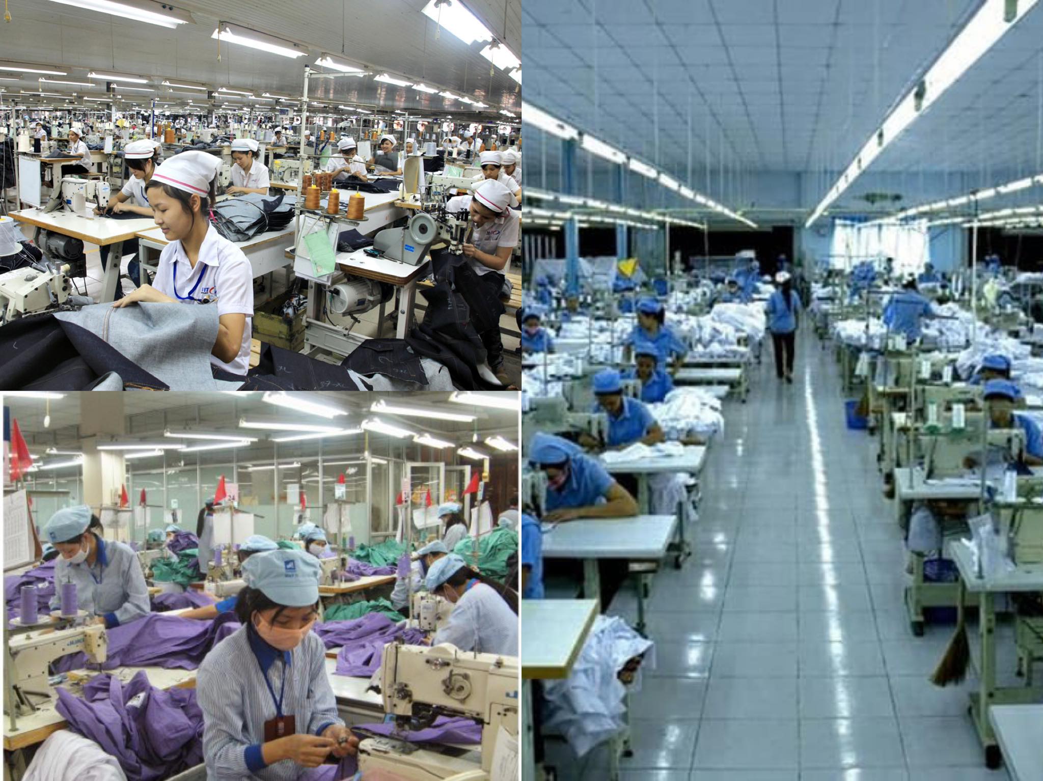 ĐƠN HÀNG NGÀNH MAY MẶC